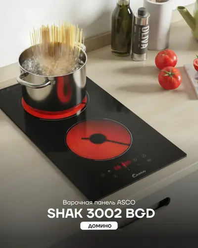 SHAK 3002 BGD