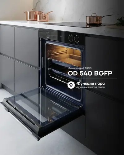 OD 540 BGFP